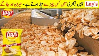 How Lay's Chips Are Made In Food Factory | Common Items Manufacturing Factories