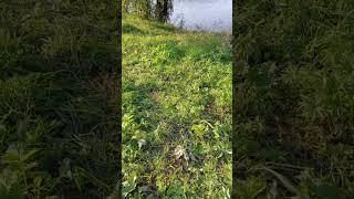 Поездка по горам урала, отдых на природе #отдых #урал #природа