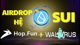 Săn Airdrop hệ SUI - Hop.fun &  Walrus , kèo nào NGON hơn?