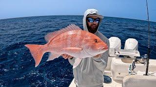 Solo Trip | Commercial Red Snapper Fishing | Profit Breakdown