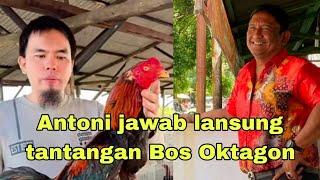 Antoni respon tantangan Bos Oktagon