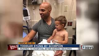 Parents share warning about pests after toddler rushed to hospital for scorpion sting