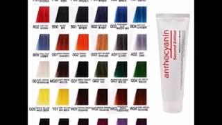 Anthocyanin Hair Manicure Color Second Edition 230g  8 1 OZ Y01 PURE YELLOW   Semi Permanent Hair Dy