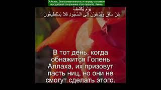 Сура Аль Калам |68:38-44 |Чтение Корана с русским переводом| Quran Translation Surah Al Qalam
