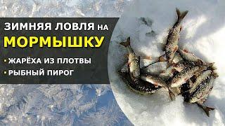  Ловим мелкую рыбу на Мормышку. Мотыль или Опарыш? | Жареная Плотва и Рыбный Пирог из свежего улова