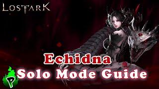 Solo Mode Guide: Echidna | Lost Ark EU | DerPyr0n