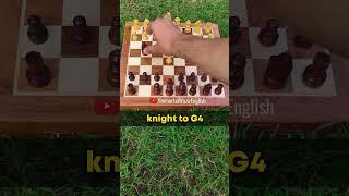 WIN QUEEN IN 6 MOVES!