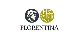 Кухонные мойки Florentina реклама 15 сек.