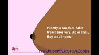 Breast Development In Girls