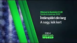 Întâmplări din larg - Promo Digi Animal World