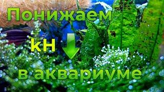 Понижаем kH в аквариуме. Lowering kH in the aquarium.