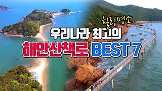 한국 최고의 해안산책로 BEST7 /국내여행 /6월에 가볼만한곳 / 걷기 좋은 길 /산책 명소 /해안데크길 /둘레길 명소 /무의도 여행 /제주도 여행 /포항 여행 /섬여행 추천