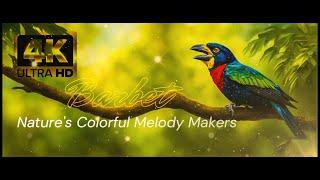 Barbet Birds: Enchanting Colors and Melodies in the Wild