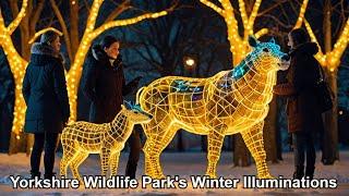 Discover the MAGIC of Yorkshire Wildlife Park's Winter Illuminations!