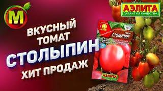  Сорт Томата 2021 года. Вкусный Томат - Столыпин.