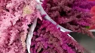 Superb quality flowers availabile for you