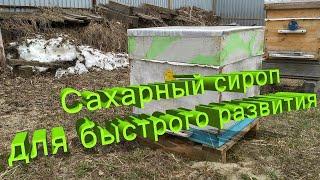 Профессор Кашковский: Давать сахарный сироп весной для быстрого развития?