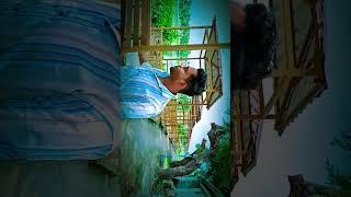 Ureche Mon️ | Song by Arijit Singh