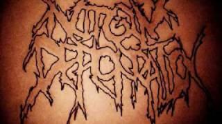 Virgin Defloration- Demo Track