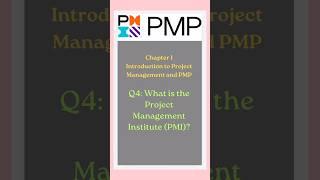 What is the Project Management Institute (PMI)?