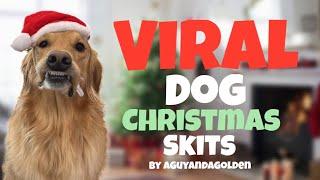 The Funniest VIRAL Dog Christmas Skits! #dog #goldenretriever #christmas