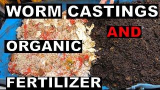 The Truth about How Worm Castings Help Organic Fertilizer