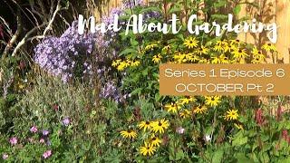 Mad About Gardening S01E06 October Pt 2 | Autumn Garden & Vegetable Bed Tour | How to Plant Garlic