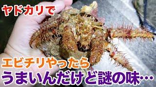 ヤドカリでエビチリやったら…うまいんだけど謎の味