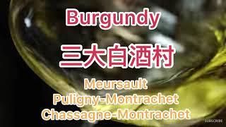 粵語中字 | Burgundy 三大白酒村 | 貓鬚 |Montrachet | Chardonnay