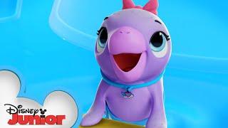 Manatee Out of Water | T.O.T.S | @disneyjr