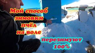 КАК ОРГАНИЗОВАТЬ ЗИМОВКУ ПЧЁЛ НА ВОЛЕ, МОЙ ПРАКТИЧЕСКИЙ МЕТОД