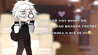 РЕАКЦИЯ tiny bunny НА АНТОНА КАК ВАЛЕРА ГОСТЕР (Два мужика и всё не оч)