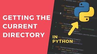 Get the Current Working Directory - 1 Minute Python Tutorial #shorts