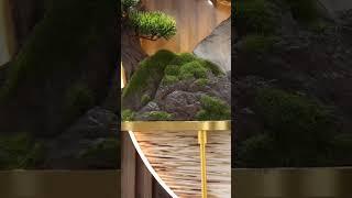3d led metal wall art / bonsai tree wall decor