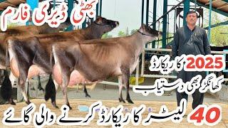 Bhatti Dairy Farm | Pakistan's Top class imported cows like HF ' Jersey cow #janibest
