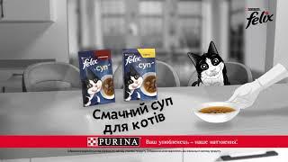 Смачний суп для вашого котика від Felix®