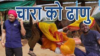 टिया घाल दी चारा को ढाणु | Rajasthani Comedy | Marwadi comedy | Thairkya Films