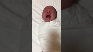 Newborn baby crying