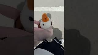 Гуся АгушаGoose Agusha