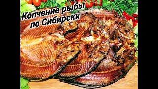 Копчение сазанов и язей по Сибирски в домашних условиях! Очень вкусно и просто!