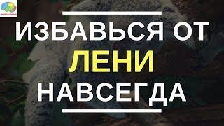 Нет Оправданий! Сила Самодисциплины - Брайан Трейси | Обзор Книги | Как избавиться от ЛЕНИ?