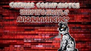 CATWAR СОБИРАЮТСЯ УНИЧТОЖИТЬ? АПОКАЛИПСИС?