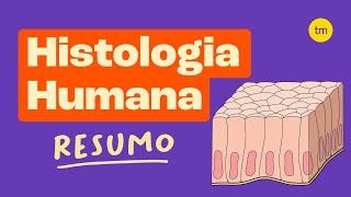 HISTOLOGIA | Os Tecidos do Corpo Humano