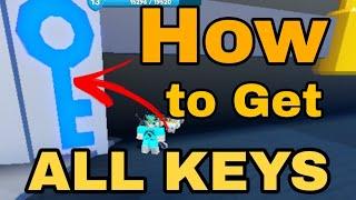 ️HOW TO GET ALL KEY!! (Pet Legend)