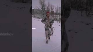 КОГДА ВЫПАЛ СНЕГ  ГЕНА МАШУКОВ ВЛЕТАЕТ 