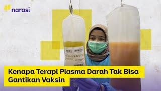 Kenapa Terapi Plasma Darah Tak Bisa Gantikan Vaksin | Narasi Newsroom