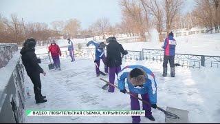 "Студенческий отряд "Земляки" стал лучшим в Алтайском крае" (Будни, 01.03.17г., Бийское телевидение)