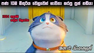 New cartoon movie in sinhala sinhala movie explain | movie explain in sinhala | sinhala film review