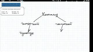 МАЪСАЛАҲОИ МАРКАЗИ МИЛЛИ ТЕСТӢ 1 - 5 (СОЛИ 2022- 2023)