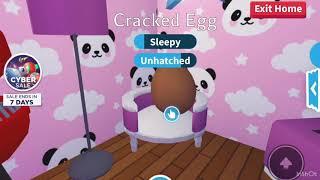 Hatching 100 cracked eggs in Roblox Adopt Me! || Agent Melt